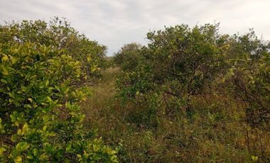 VENTA DE TERRENO EN QUINTANA ROO