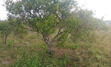 VENTA DE TERRENO EN QUINTANA ROO