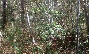 VENTA DE TERRENO EN QUINTANA ROO