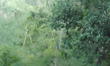 VENTA DE TERRENO EN QUINTANA ROO