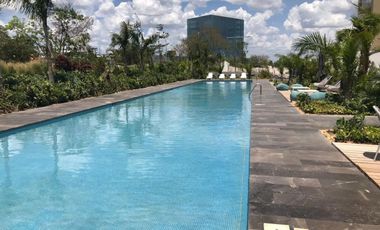 Departamento en renta en Vía Montejo, Mérida