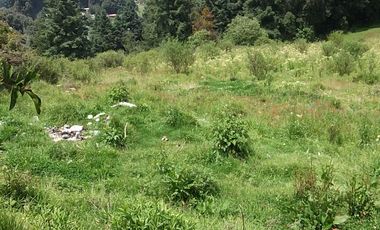 EXCELENTE TERRENO EN ISIDRO FABELA