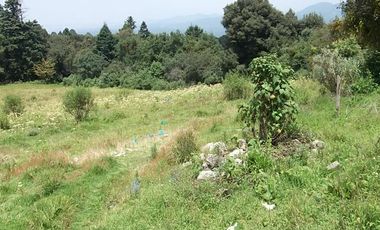 EXCELENTE TERRENO EN ISIDRO FABELA