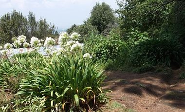 EXCELENTE TERRENO EN ISIDRO FABELA