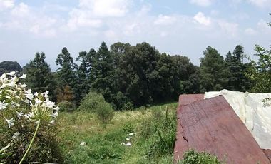 EXCELENTE TERRENO EN ISIDRO FABELA