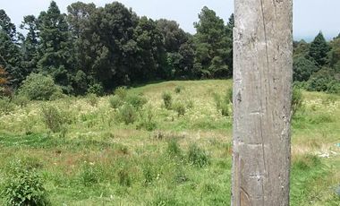 EXCELENTE TERRENO EN ISIDRO FABELA