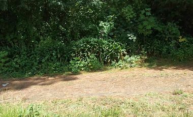 EXCELENTE TERRENO EN ISIDRO FABELA