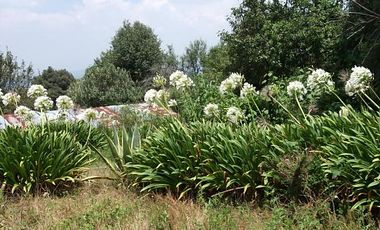 EXCELENTE TERRENO EN ISIDRO FABELA