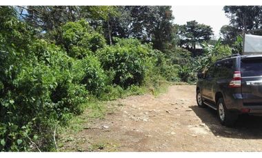 FINCA / 1 HECTAREA / PALMIRA ABAJO / BOQUETE / CHIRIQUI