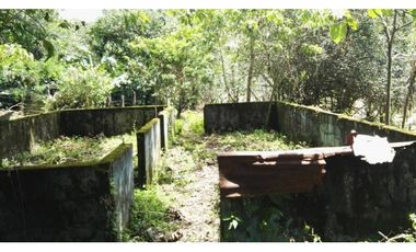 FINCA / 1 HECTAREA / PALMIRA ABAJO / BOQUETE / CHIRIQUI