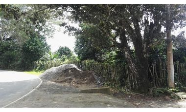 FINCA / 1 HECTAREA / PALMIRA ABAJO / BOQUETE / CHIRIQUI