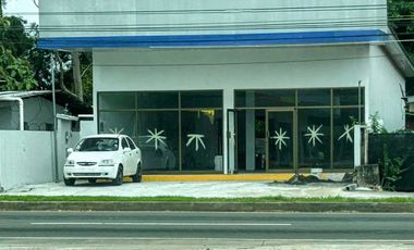 Local Comercial venta en David