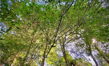 Venta Casa Campestre Parcelacion El Retiro