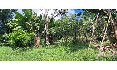 Vendo finca en Amaga camilo C