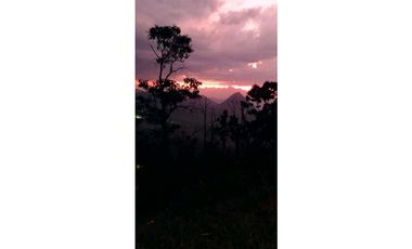 Vendo finca en Amaga camilo C