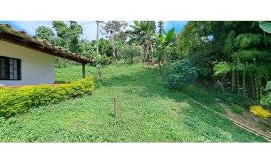 Vendo finca en Amaga camilo C