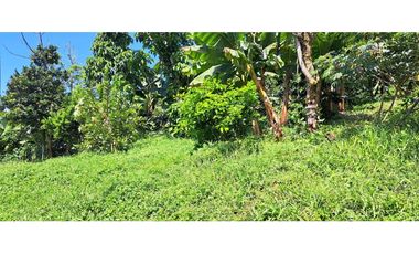 Vendo finca en Amaga camilo C