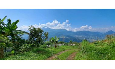 Vendo finca en Amaga camilo C