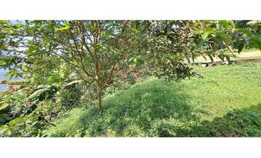 Vendo finca en Amaga camilo C