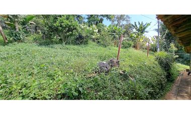 Vendo finca en Amaga camilo C