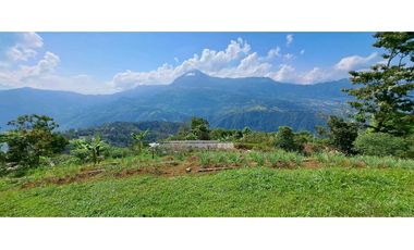 Vendo finca en Amaga camilo C