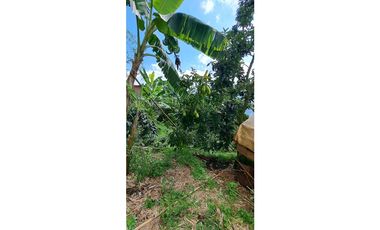 Vendo finca en Amaga camilo C