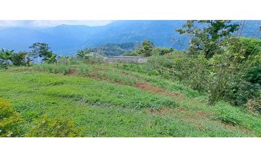 Vendo finca en Amaga camilo C