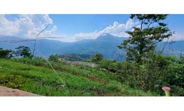 Vendo finca en Amaga camilo C