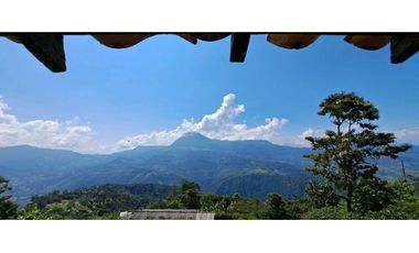 Vendo finca en Amaga camilo C