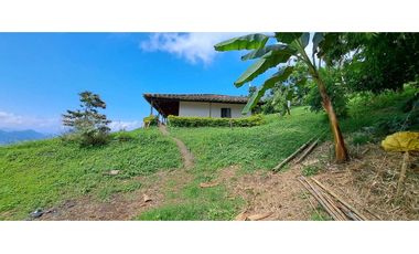 Vendo finca en Amaga camilo C