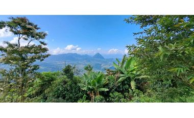 Vendo finca en Amaga camilo C