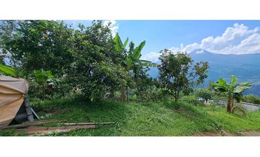 Vendo finca en Amaga camilo C
