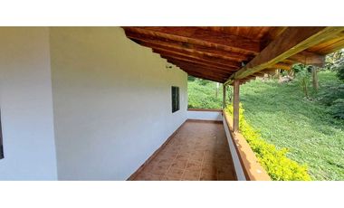 Vendo finca en Amaga camilo C