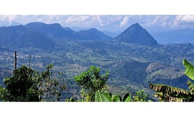 Vendo finca en Amaga camilo C