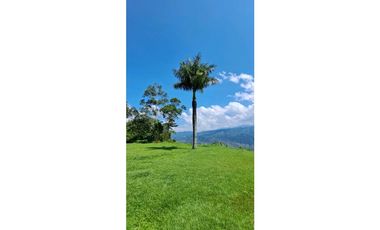 Vendo Finca en Amaga - Antioquia