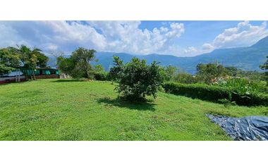 Vendo Finca en Amaga - Antioquia