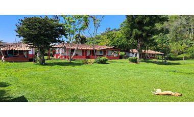 Vendo Finca en Amaga - Antioquia