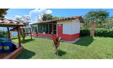 Vendo Finca en Amaga - Antioquia