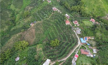 VENTA MAGNFICO LOTE EN ALTAGRACIA, PEREIRA