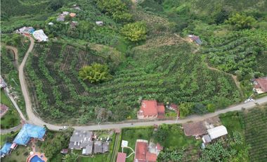 VENTA MAGNFICO LOTE EN ALTAGRACIA, PEREIRA