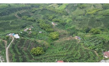 VENTA MAGNFICO LOTE EN ALTAGRACIA, PEREIRA