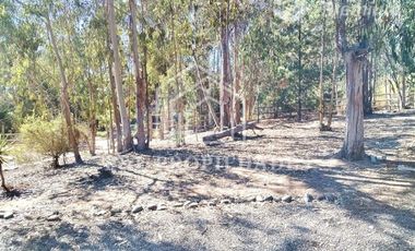 Parcela en Arriendo en CONDOMINIO LOMA LARGA