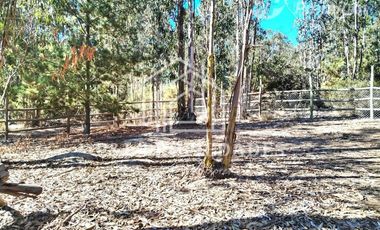 Parcela en Arriendo en CONDOMINIO LOMA LARGA