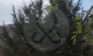 Finca en venta en Santiago Tepatlaxco