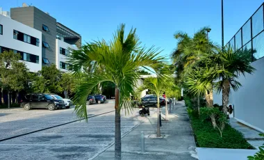 Departamento en renta en Luis Donaldo Colosio, Solidaridad, Quintana Roo