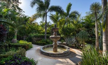 Hacienda Oasis