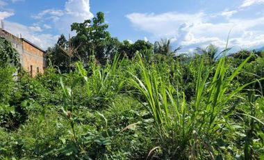 En Venta Terreno Frente a Calle en Moyobamba- San Martín