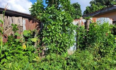 En Venta Terreno Frente a Calle en Moyobamba- San Martín