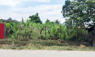 En Venta Terreno Frente a Calle en Moyobamba- San Martín