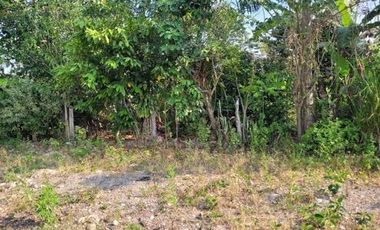 En venta amplia casa en Moyobamba-San Martín